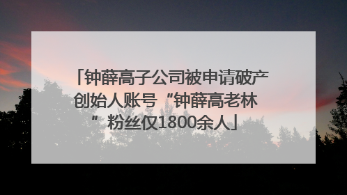 钟薛高子公司被申请破产 创始人账号“钟薛高老林”粉丝仅1800余人